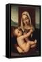 Madonna and Child-Giovanni Bellini-Framed Stretched Canvas