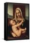 Madonna and Child-Giovanni Bellini-Framed Stretched Canvas