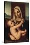 Madonna and Child-Giovanni Bellini-Stretched Canvas