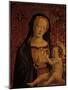 Madonna and Child-null-Mounted Giclee Print