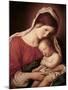 Madonna and Child-Giovanni Battista Salvi da Sassoferrato-Mounted Giclee Print