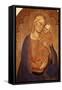Madonna and Child-Jacopo Di Cione-Framed Stretched Canvas