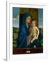 Madonna and Child.-Giovanni Bellini-Framed Giclee Print