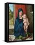 Madonna and Child-Albrecht Dürer-Framed Stretched Canvas