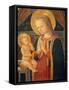 Madonna and Child-Zanobi Machiavelli-Framed Stretched Canvas