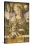Madonna and Child-Carlo Crivelli-Stretched Canvas