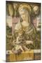 Madonna and Child-Carlo Crivelli-Mounted Art Print