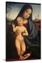 Madonna and Child-Francesco Francia-Stretched Canvas