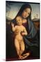 Madonna and Child-Francesco Francia-Mounted Art Print