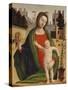 Madonna and Child-Bramantino-Stretched Canvas