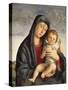 Madonna and Child-Giovanni Bellini-Stretched Canvas