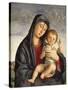 Madonna and Child-Giovanni Bellini-Stretched Canvas