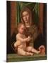 Madonna and Child-Bartolomeo Montagna-Mounted Giclee Print