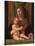 Madonna and Child-Bartolomeo Montagna-Stretched Canvas