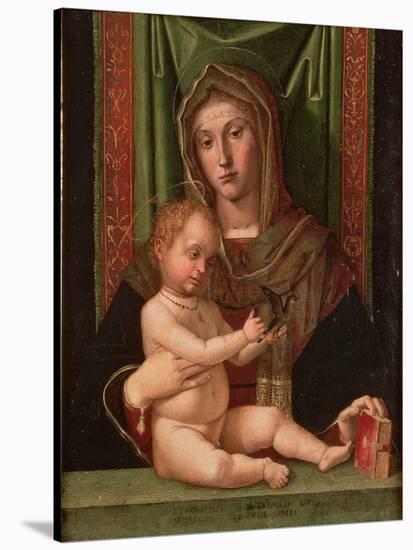 Madonna and Child-Bartolomeo Montagna-Stretched Canvas