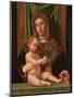 Madonna and Child-Bartolomeo Montagna-Mounted Giclee Print