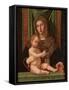 Madonna and Child-Bartolomeo Montagna-Framed Stretched Canvas