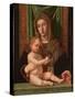 Madonna and Child-Bartolomeo Montagna-Stretched Canvas