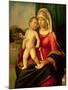 Madonna and Child-Giovanni Battista Cima Da Conegliano-Mounted Giclee Print