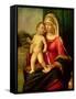 Madonna and Child-Giovanni Battista Cima Da Conegliano-Framed Stretched Canvas
