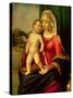 Madonna and Child-Giovanni Battista Cima Da Conegliano-Stretched Canvas