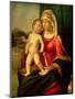Madonna and Child-Giovanni Battista Cima Da Conegliano-Mounted Giclee Print