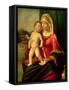 Madonna and Child-Giovanni Battista Cima Da Conegliano-Framed Stretched Canvas