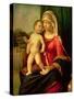 Madonna and Child-Giovanni Battista Cima Da Conegliano-Stretched Canvas
