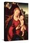 Madonna and Child-Lucas Cranach the Elder-Stretched Canvas