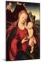 Madonna and Child-Lucas Cranach the Elder-Mounted Giclee Print