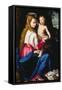 Madonna and Child-Alessandro Allori-Framed Stretched Canvas