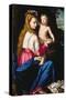Madonna and Child-Alessandro Allori-Stretched Canvas
