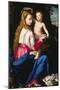 Madonna and Child-Alessandro Allori-Mounted Giclee Print