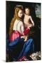 Madonna and Child-Alessandro Allori-Mounted Giclee Print