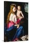 Madonna and Child-Alessandro Allori-Stretched Canvas