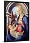 Madonna and Child-Sandro Botticelli-Framed Giclee Print