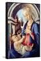 Madonna and Child-Sandro Botticelli-Framed Stretched Canvas