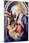 Madonna and Child-Sandro Botticelli-Mounted Giclee Print