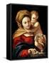 Madonna and Child-Sisto Badalocchio-Framed Stretched Canvas