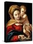 Madonna and Child-Sisto Badalocchio-Stretched Canvas