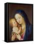 Madonna and Child-Francesco Zuccarelli-Framed Stretched Canvas