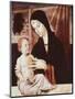 Madonna and Child-Bartolomeo Montagna-Mounted Giclee Print