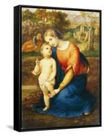 Madonna and Child-Antonio Bianchini-Framed Stretched Canvas