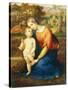 Madonna and Child-Antonio Bianchini-Stretched Canvas