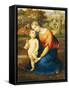 Madonna and Child-Antonio Bianchini-Framed Stretched Canvas