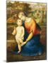 Madonna and Child-Antonio Bianchini-Mounted Giclee Print