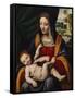 Madonna and Child-Bernardino Luini-Framed Stretched Canvas