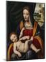 Madonna and Child-Bernardino Luini-Mounted Giclee Print