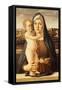 Madonna and Child-Bartolomeo Montagna-Framed Stretched Canvas