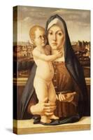 Madonna and Child-Bartolomeo Montagna-Stretched Canvas
